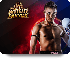 Explore Sports Betting Opportunities at 1xBet Bet Online Site
